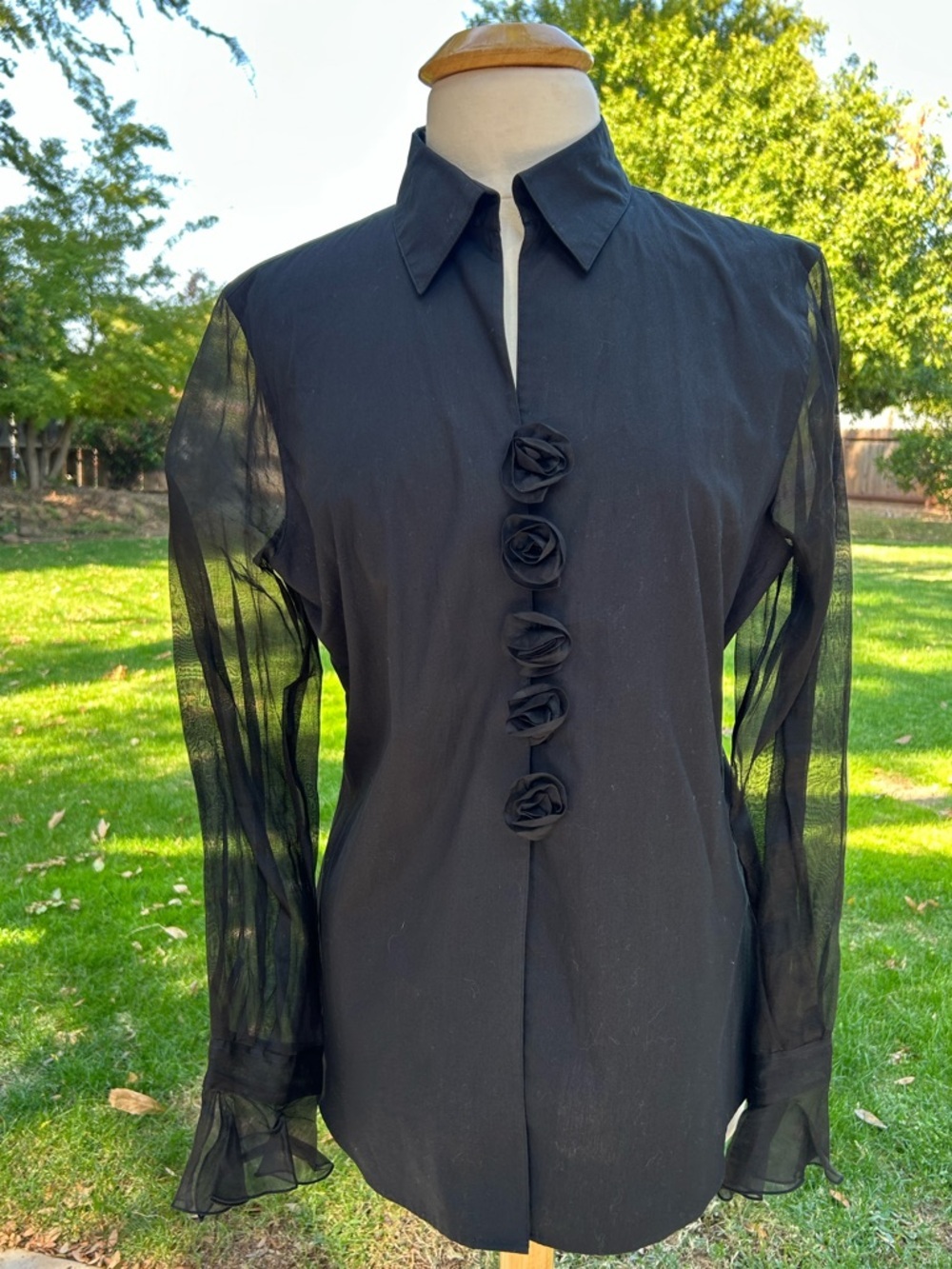 Anne Fontaine Black Sheer Sleeve Rosaorgal Blouse